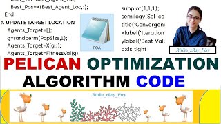 POA - CODE || Pelican Optimization Algorithm Code Implementation || ~xRayPixy
