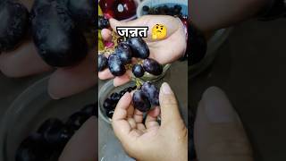 माधव 🙏 #ytshorts  #uttarakhandifood #trueline #madhav #jannat #fruits #ythealth #uttarakhandirasoi