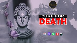 How to overcome sorrow of death Buddha Story in English | Buddha Moral Story | Calm Soul