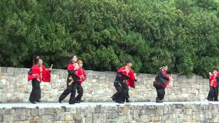 ザ・よさこい！　大江戸ソーラン祭り～よさこい踊り～（9）（2015年）