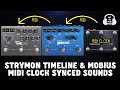 STRYMON TIMELINE & MOBIUS MIDI CLOCK SYNCED SOUNDS