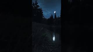 Beautiful far cry 5. Имба #лайк #подпишись #красота