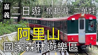 奮起湖 二萬坪風景區 然井茗露x阿里山霧很濃 阿里山國家森林遊樂區 嘉義二日遊