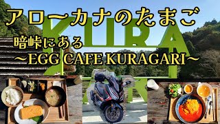 EGG CAFE KURAGARI～アローカナのたまごの殻は薄い水色をしている⁉