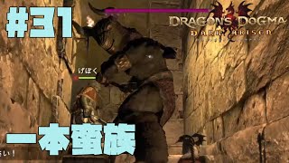 仕事辞めたので黒呪島生活。#31【ドラゴンズドグマダークアリズン】【DDDA】