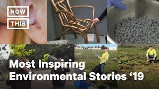 Most Inspiring Environmental Stories of 2019 | NowThis