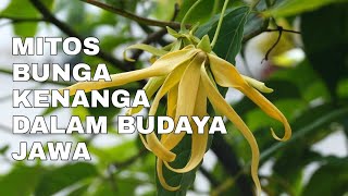 5 Mitos Bunga Kenanga dalam Budaya Kejawen! Nomor 2 Sering Terbukti!