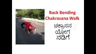 Walking in Chakarasana yoga, Back Bending#ಯೋಗ #ಚಕ್ರಾಸನ#Chakrasana #BackBending #jeevanmukhimysore#