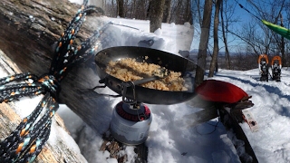 Raquette et Bushcraft au Parc des Montagnes Noires