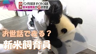 パンダファミリー第４弾！　密着映像・新米パンダ飼育員の奮闘記