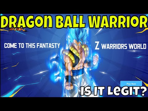 Dragon Ball Warrior – Hype Impressions/Is It Legit