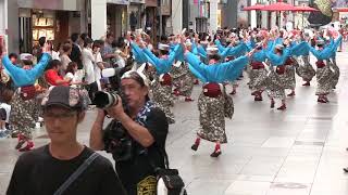 高知よさこい祭り2018　全国大会　舞人