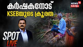 Spot LIVE | കർഷകനോട് KSEBയുടെ ക്രൂരത | Muvattupuzha Plantains Destroyed By KSEB | P Prasad