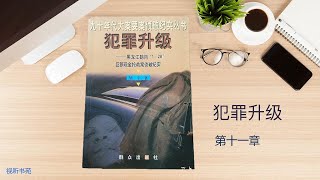 犯罪升级 11 [有声小说] - 1995年黑龙江鹤岗1.28南山矿特大杀人抢劫大案侦破纪实 - 纯黑省电模式30秒后自动黑屏