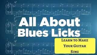 How to Make Your Guitar "Sing" The Blues | GuitarZoom.com | Steve Stine