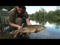 martin bowler barbel rods the new drennan range