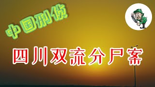 [刑侦纪实]四川双流县奸S案.两名女青年夜晚的悲惨遭遇