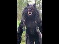 dogs react to huge werewolf costume