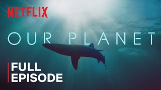 Our Planet | Coastal Seas | FULL EPISODE | Netflix