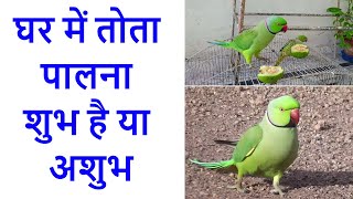 घर में तोता पालना शुभ है या अशुभ || Parrot Vastu Shastra In Hindi