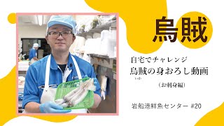 岩船港鮮魚センター#20（イカのおろし方・イカソーメンの作り方）自宅でチャレンジ鮮魚センター川村の「魚の身おろし動画」