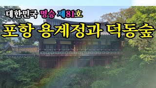 문화재청지정 대한민국의 명승 제81호 포항 용계정과 덕동숲