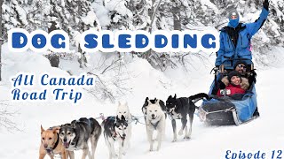 Dog sledding | പട്ടി കൂട്ടങ്ങൾ ഞങ്ങളെയും വലിച്ചു കൊണ്ട് മഞ് മലയിലേക്ക് | all Canada road trip ep 12