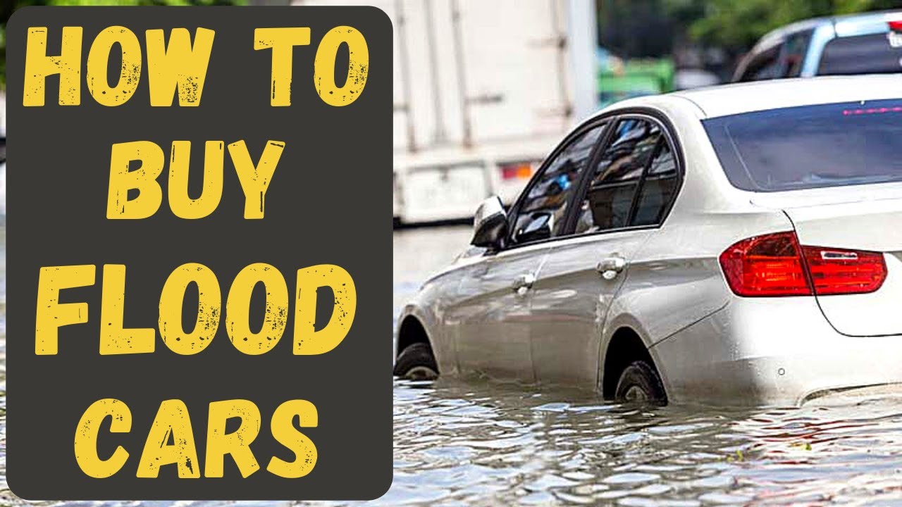 Should I Buy A Flooded Car? Are Water Damaged Cars Good? Buying A ...