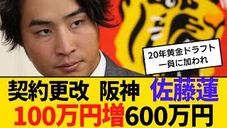 契約更改 阪神 佐藤蓮100万円増の600万円でサイン　【ネットの反応】【反応集】