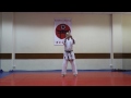 uechi ryu karate do shohei ryu