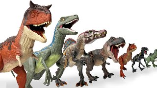 GIANT Haul of the BEST Jurassic World Carnivores | T-Rex, Indominus Rex, Velociraptor, and More!