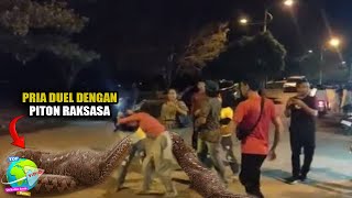 Viral Pria Duel Dengan Ular Piton di Jalan Hingga Jadi Perhatian Berita Dunia... | Big Python