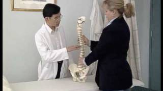 Tai Chi for Arthritis | Dr Paul Lam | Link to the Update Version