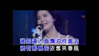 滬語國語歌曲：人面桃花  宇宙唯一上海话吴语，one and only shanghainese and mandarin Chinese song：human face peach flower