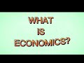 what economist do