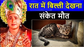 रात में बिल्ली देखना संकेत ! क्या कहते हे श्री कृष्ण ! raat me billi dkehna sanket !