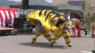 吉里吉里虎舞（２０１７大槌町郷土芸能祭）