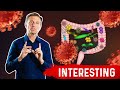 Gut Bacteria and Viruses