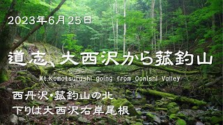 【西丹沢・大西沢から菰釣山】2023年6月25日。#中年ヘタレソロハイカー の登山記録、源流探索 #西丹沢 #菰釣山 #大西沢 #道志 #登山 #癒し #自然 #アウトドア #山歩き #森林 #道志