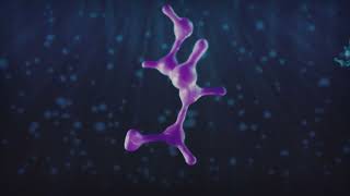 OPTASE Intense HCP Animation