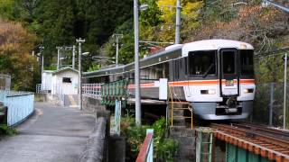 【秘境駅】373系 飯田線秘境駅号(上り) 為栗駅到着～発車【音量注意】