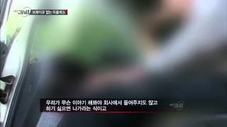 [부산KBS] 시선360 '브레이크 없는 마을버스' 편