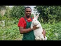 Offgrid Living||Homesteading in Zimbabwe 