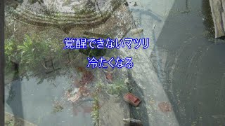 【岐牒記】note20240824（Version  actuelle）La pause déjeuner de Matsuri