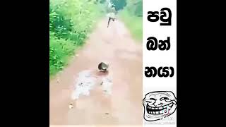 අම්මෝ බඩ පැලෙන්න හිනා  වෙන්න පුළුවන්  😂😂😂😂(1)