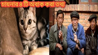 চায়নার মানুষেরা বিড়াল খাচ্ছে। people in china are eating cats।#shorts