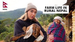 72 hours Farmers Life in Rural Nepal 🇳🇵
