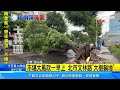 不堪大風吹一早上 北市文林路「大樹躺地」｜三立新聞網 setn.com