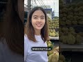 泰国街边榴莲 榴莲 durian 泰国榴莲