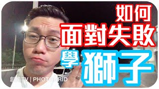 如何面對失敗？向獅子學？打造成功人生必經的第一步！